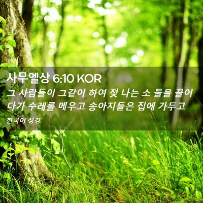 Picture 02 - 사무엘상 6:10 KOR - 그 사람들이 그같이 하여 젖 나는 소 - Bible Verse Picture