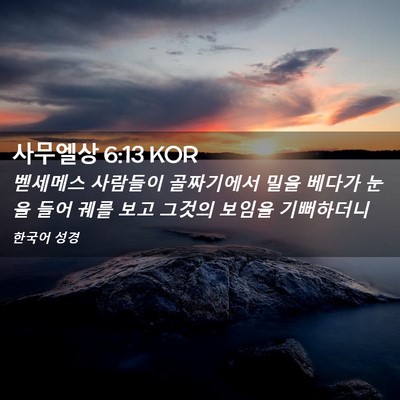 Picture 02 - 사무엘상 6:13 KOR - 벧세메스 사람들이 골짜기에서 밀을 - Bible Verse Picture