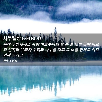 Picture 02 - 사무엘상 6:14 KOR - 수레가 벧세메스 사람 여호수아의 밭 - Bible Verse Picture
