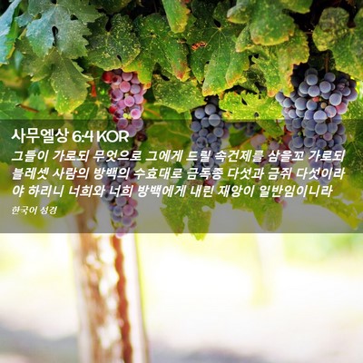 Picture 02 - 사무엘상 6:4 KOR - 그들이 가로되 무엇으로 그에게 드릴 - Bible Verse Picture