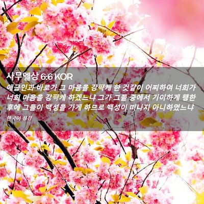 Picture 02 - 사무엘상 6:6 KOR - 애굽인과 바로가 그 마음을 강퍅케 - Bible Verse Picture