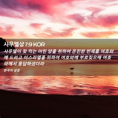 Picture 02 - 사무엘상 7:9 KOR - 사무엘이 젖 먹는 어린 양을 취하여 - Bible Verse Picture