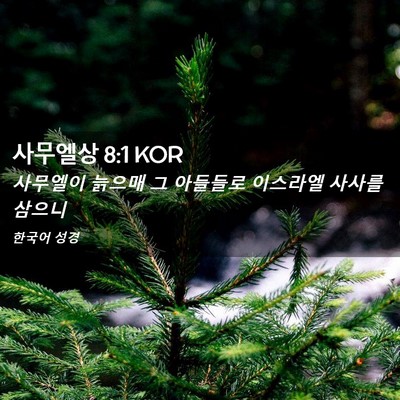 Picture 02 - 사무엘상 8:1 KOR - 사무엘이 늙으매 그 아들들로 - Bible Verse Picture