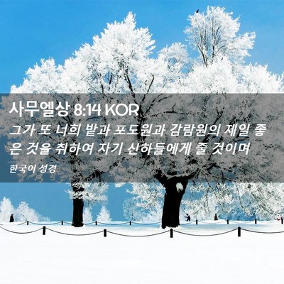 Picture 02 - 사무엘상 8:14 KOR - 그가 또 너희 밭과 포도원과 - Bible Verse Picture