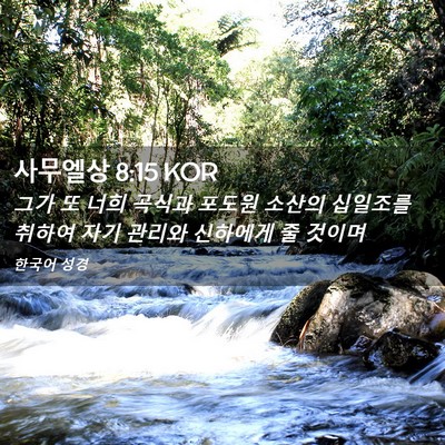 Picture 02 - 사무엘상 8:15 KOR - 그가 또 너희 곡식과 포도원 소산의 - Bible Verse Picture