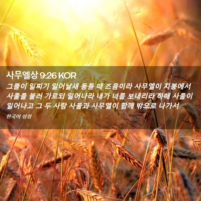 Picture 02 - 사무엘상 9:26 KOR - 그들이 일찌기 일어날새 동틀 때 - Bible Verse Picture