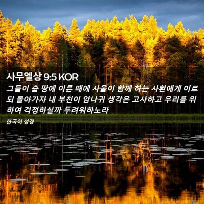 Picture 02 - 사무엘상 9:5 KOR - 그들이 숩 땅에 이른 때에 사울이 - Bible Verse Picture