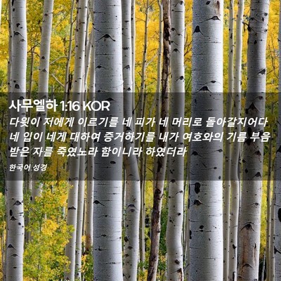 Picture 02 - 사무엘하 1:16 KOR - 다윗이 저에게 이르기를 네 피가 네 - Bible Verse Picture