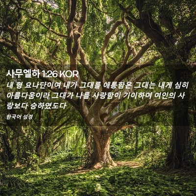 Picture 02 - 사무엘하 1:26 KOR - 내 형 요나단이여 내가 그대를 - Bible Verse Picture