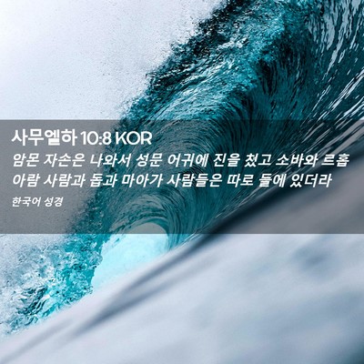 Picture 02 - 사무엘하 10:8 KOR - 암몬 자손은 나와서 성문 어귀에 - Bible Verse Picture