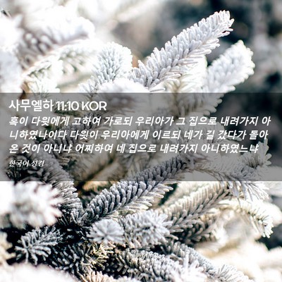 Picture 02 - 사무엘하 11:10 KOR - 혹이 다윗에게 고하여 가로되 - Bible Verse Picture