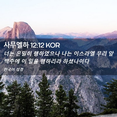 Picture 02 - 사무엘하 12:12 KOR - 너는 은밀히 행하였으나 나는 - Bible Verse Picture
