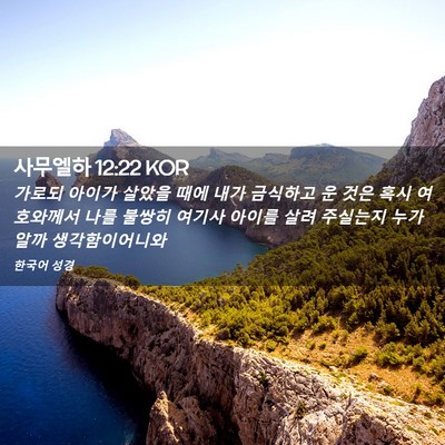 Picture 02 - 사무엘하 12:22 KOR - 가로되 아이가 살았을 때에 내가 - Bible Verse Picture