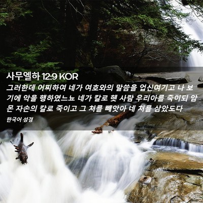 Picture 02 - 사무엘하 12:9 KOR - 그러한데 어찌하여 네가 여호와의 - Bible Verse Picture
