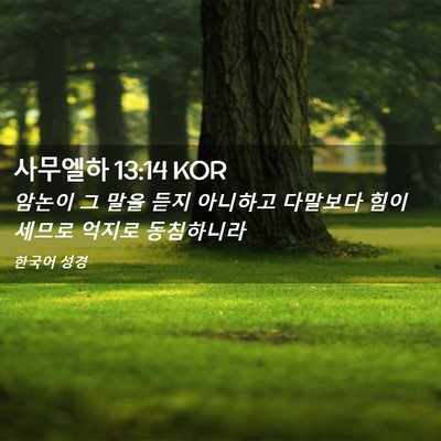 Picture 02 - 사무엘하 13:14 KOR - 암논이 그 말을 듣지 아니하고 - Bible Verse Picture