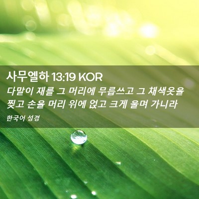 Picture 02 - 사무엘하 13:19 KOR - 다말이 재를 그 머리에 무릅쓰고 그 - Bible Verse Picture