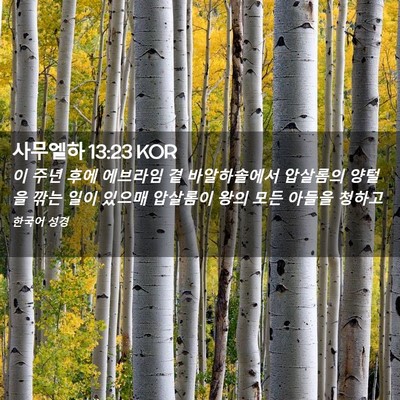 Picture 02 - 사무엘하 13:23 KOR - 이 주년 후에 에브라임 곁 - Bible Verse Picture