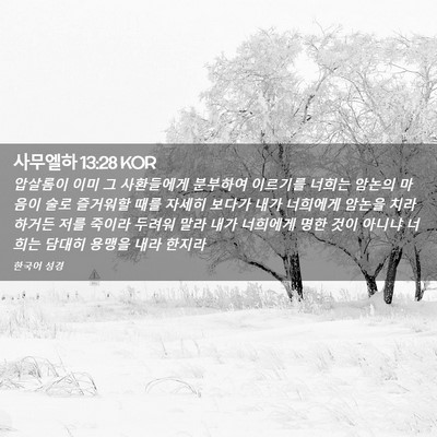 Picture 02 - 사무엘하 13:28 KOR - 압살롬이 이미 그 사환들에게 - Bible Verse Picture