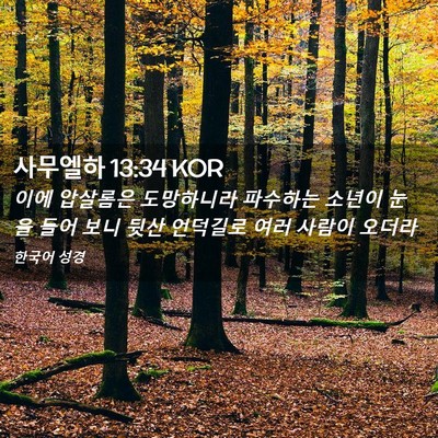 Picture 02 - 사무엘하 13:34 KOR - 이에 압살롬은 도망하니라 파수하는 - Bible Verse Picture