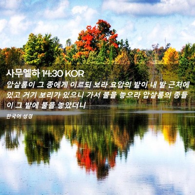 Picture 02 - 사무엘하 14:30 KOR - 압살롬이 그 종에게 이르되 보라 - Bible Verse Picture