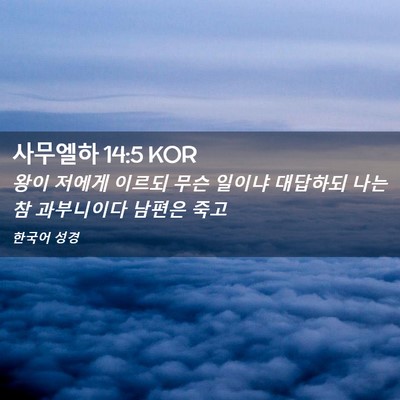 Picture 02 - 사무엘하 14:5 KOR - 왕이 저에게 이르되 무슨 일이냐 - Bible Verse Picture