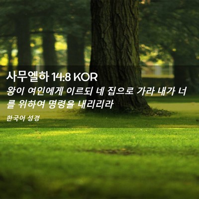 Picture 02 - 사무엘하 14:8 KOR - 왕이 여인에게 이르되 네 집으로 - Bible Verse Picture