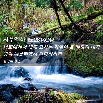 Picture 02 - 사무엘하 15:28 KOR - 너희에게서 내게 고하는 기별이 올 - Bible Verse Picture