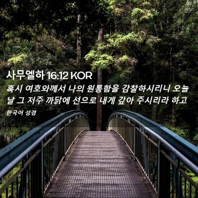 Picture 02 - 사무엘하 16:12 KOR - 혹시 여호와께서 나의 원통함을 - Bible Verse Picture