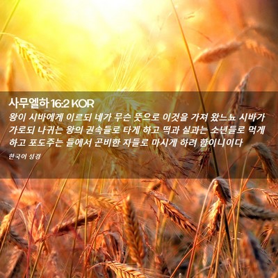 Picture 02 - 사무엘하 16:2 KOR - 왕이 시바에게 이르되 네가 무슨 - Bible Verse Picture
