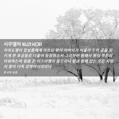 Picture 02 - 사무엘하 16:21 KOR - 아히도벨이 압살롬에게 이르되 왕의 - Bible Verse Picture