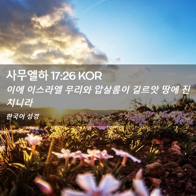 Picture 02 - 사무엘하 17:26 KOR - 이에 이스라엘 무리와 압살롬이 - Bible Verse Picture
