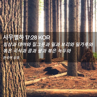 Picture 02 - 사무엘하 17:28 KOR - 침상과 대야와 질그릇과 밀과 보리와 - Bible Verse Picture