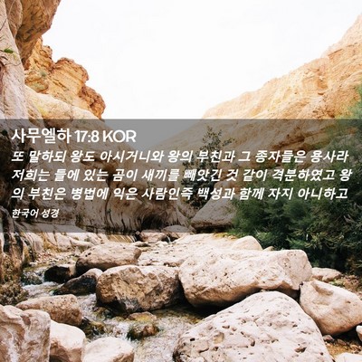 Picture 02 - 사무엘하 17:8 KOR - 또 말하되 왕도 아시거니와 왕의 - Bible Verse Picture