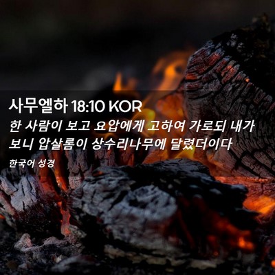 Picture 02 - 사무엘하 18:10 KOR - 한 사람이 보고 요압에게 고하여 - Bible Verse Picture