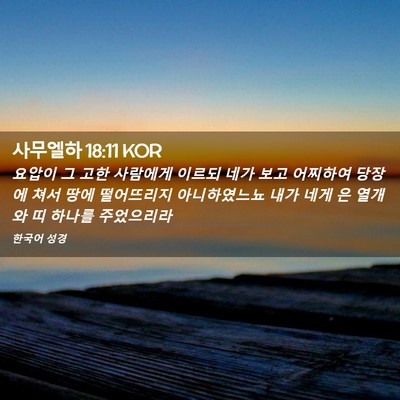 Picture 02 - 사무엘하 18:11 KOR - 요압이 그 고한 사람에게 이르되 - Bible Verse Picture