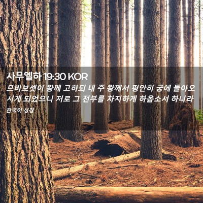 Picture 02 - 사무엘하 19:30 KOR - 므비보셋이 왕께 고하되 내 주 - Bible Verse Picture