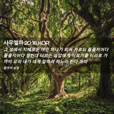 Picture 02 - 사무엘하 20:16 KOR - 그 성에서 지혜로운 여인 하나가 - Bible Verse Picture