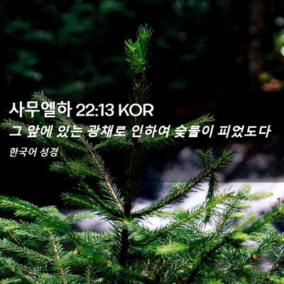 Picture 02 - 사무엘하 22:13 KOR - 그 앞에 있는 광채로 인하여 숯불이 - Bible Verse Picture