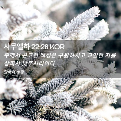 Picture 02 - 사무엘하 22:28 KOR - 주께서 곤고한 백성은 구원하시고 - Bible Verse Picture