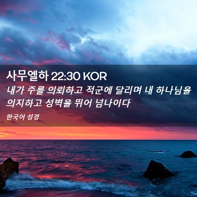 Picture 02 - 사무엘하 22:30 KOR - 내가 주를 의뢰하고 적군에 달리며 - Bible Verse Picture