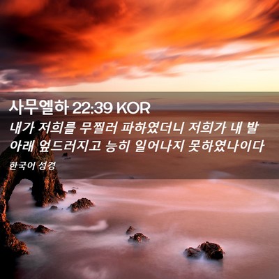 Picture 02 - 사무엘하 22:39 KOR - 내가 저희를 무찔러 파하였더니 - Bible Verse Picture