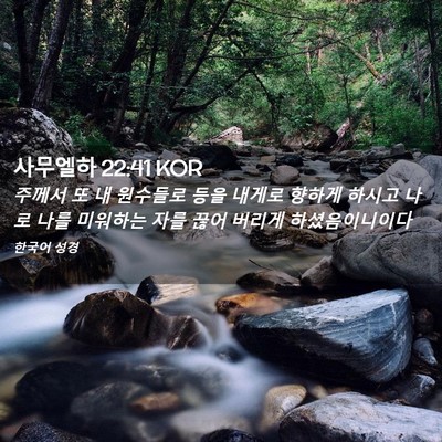 Picture 02 - 사무엘하 22:41 KOR - 주께서 또 내 원수들로 등을 내게로 - Bible Verse Picture