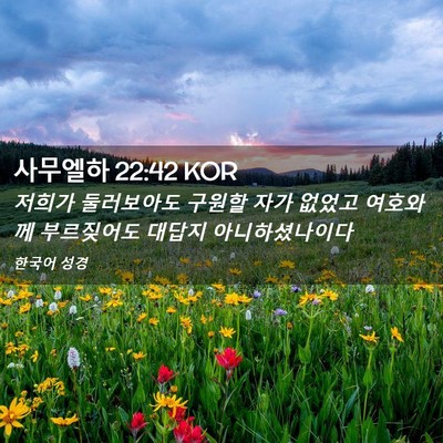 Picture 02 - 사무엘하 22:42 KOR - 저희가 둘러보아도 구원할 자가 - Bible Verse Picture