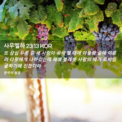 Picture 02 - 사무엘하 23:13 KOR - 또 삼십 두목 중 세 사람이 곡식 벨 - Bible Verse Picture