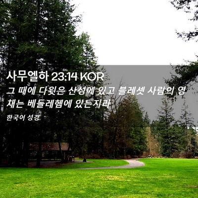 Picture 02 - 사무엘하 23:14 KOR - 그 때에 다윗은 산성에 있고 블레셋 - Bible Verse Picture