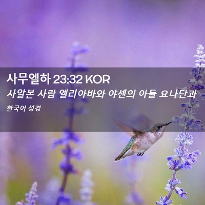 Picture 02 - 사무엘하 23:32 KOR - 사알본 사람 엘리아바와 야센의 아들 - Bible Verse Picture