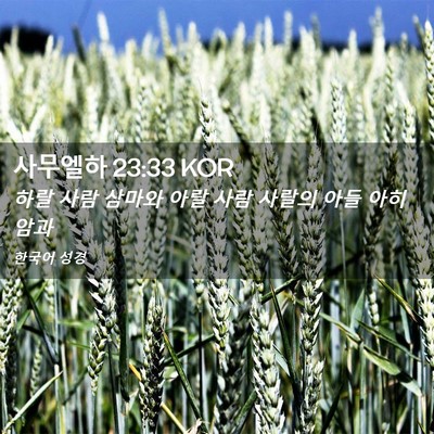 Picture 02 - 사무엘하 23:33 KOR - 하랄 사람 삼마와 아랄 사람 사랄의 - Bible Verse Picture