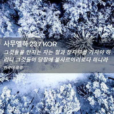 Picture 02 - 사무엘하 23:7 KOR - 그것들을 만지는 자는 철과 창자루를 - Bible Verse Picture