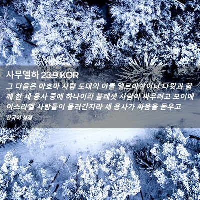 Picture 02 - 사무엘하 23:9 KOR - 그 다음은 아호아 사람 도대의 아들 - Bible Verse Picture