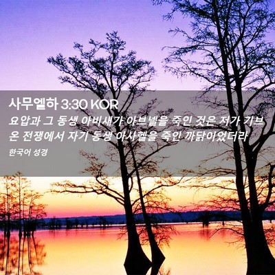 Picture 02 - 사무엘하 3:30 KOR - 요압과 그 동생 아비새가 아브넬을 - Bible Verse Picture